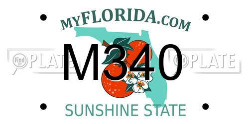 M340 Florida License Plate