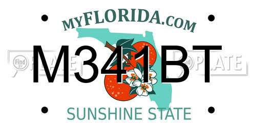 M341BT Florida License Plate