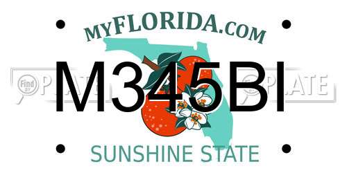 M345BI Florida License Plate