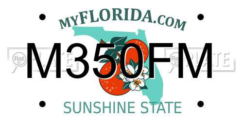 M350FM Florida License Plate