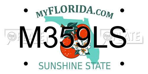 M359LS Florida License Plate