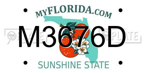 M3676D Florida License Plate