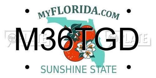 M36TGD Florida License Plate