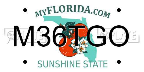 M36TGO Florida License Plate