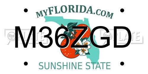 M36ZGD Florida License Plate