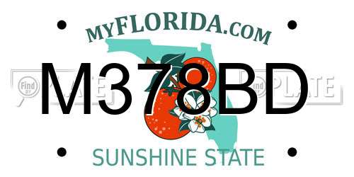 M378BD Florida License Plate