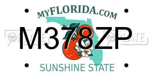 M378ZP Florida License Plate