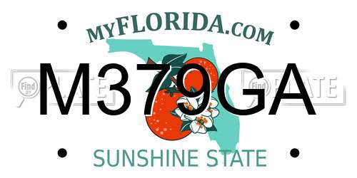 M379GA Florida License Plate