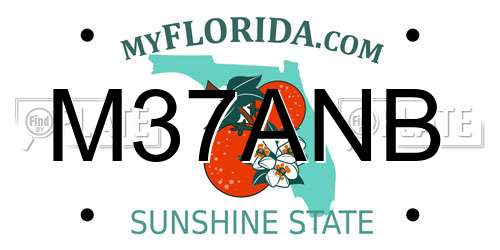 M37ANB Florida License Plate