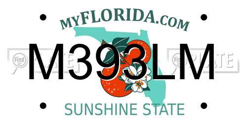 M393LM Florida License Plate