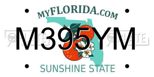 M395YM Florida License Plate