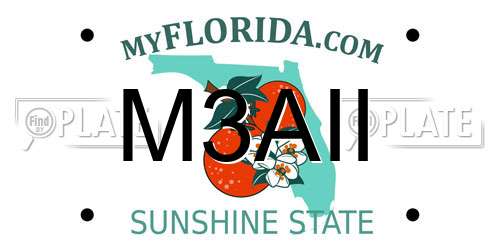 M3AII Florida License Plate