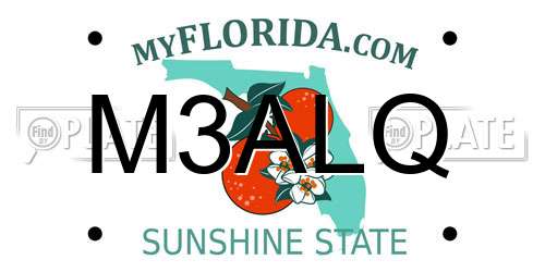 M3ALQ Florida License Plate