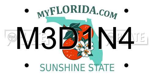 M3D1N4 Florida License Plate