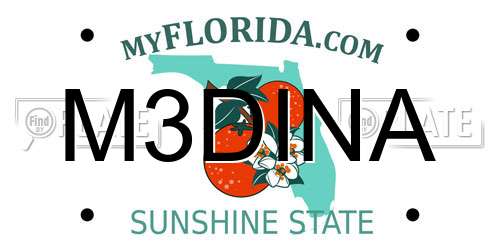 M3DINA Florida License Plate