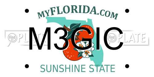 M3GIC Florida License Plate