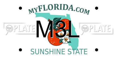 M3L Florida License Plate