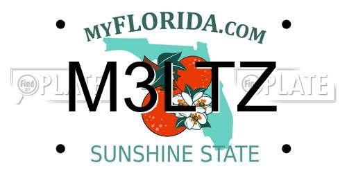 M3LTZ Florida License Plate