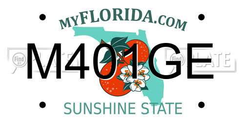 M401GE Florida License Plate