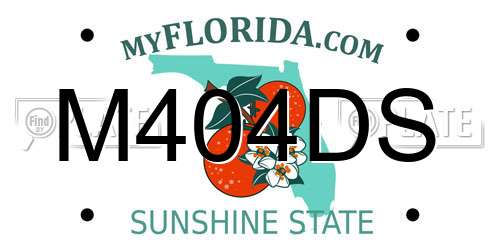 M404DS Florida License Plate