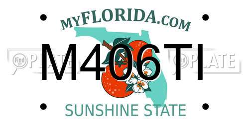 M406TI Florida License Plate