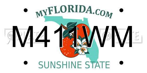 M411WM Florida License Plate