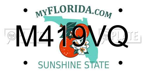 M419VQ Florida License Plate