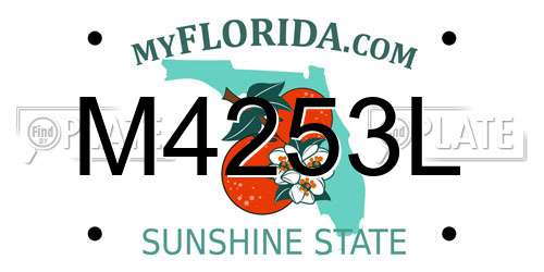 M4253L Florida License Plate