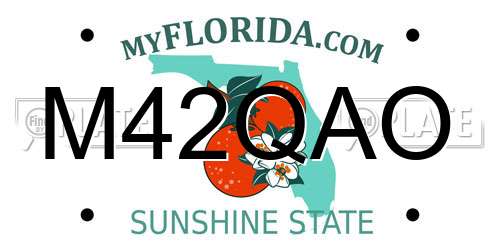 M42QAO Florida License Plate