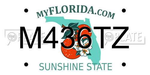 M436TZ Florida License Plate
