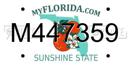 M447359 Florida License Plate