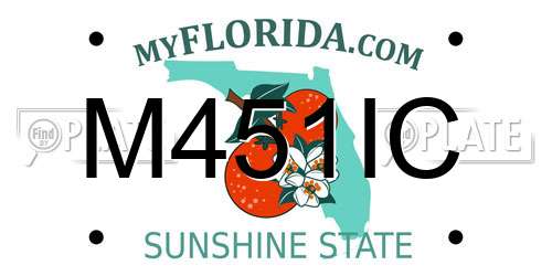 M451IC Florida License Plate