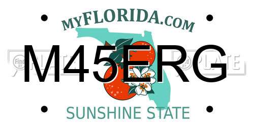 M45ERG Florida License Plate