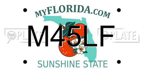 M45LF Florida License Plate