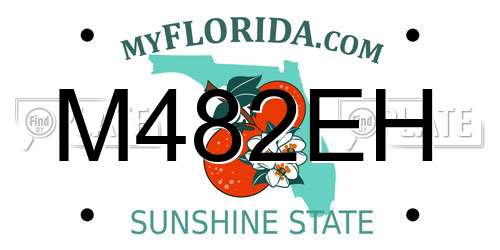 M482EH Florida License Plate