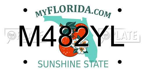 M482YL Florida License Plate