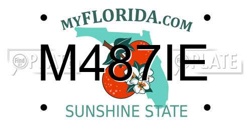 M487IE Florida License Plate