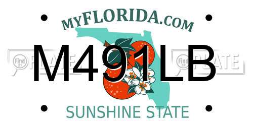 M491LB Florida License Plate