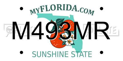 M493MR Florida License Plate