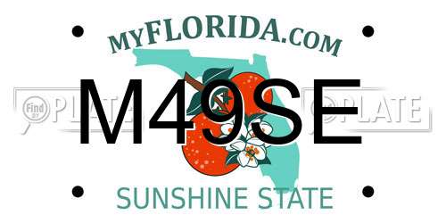 M49SE Florida License Plate