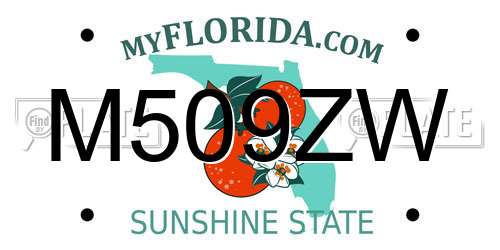M509ZW Florida License Plate