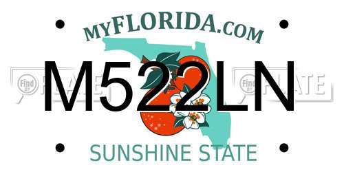 M522LN Florida License Plate