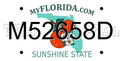 M52658D Florida License Plate
