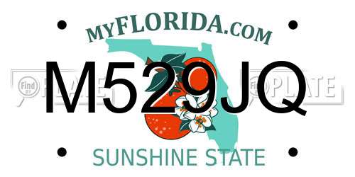 M529JQ Florida License Plate