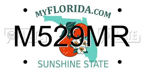 M529MR Florida License Plate