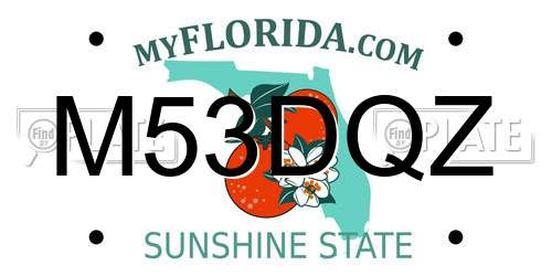 M53DQZ Florida License Plate