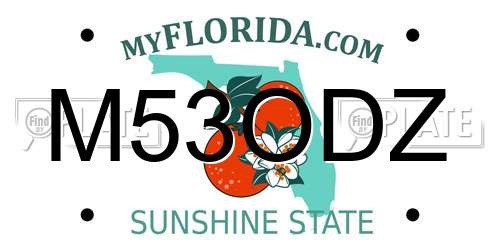M53ODZ Florida License Plate