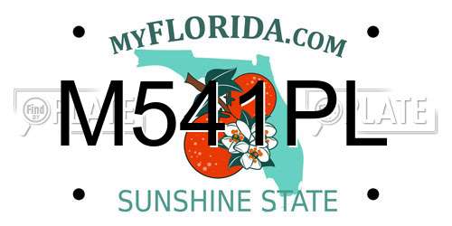 M541PL Florida License Plate
