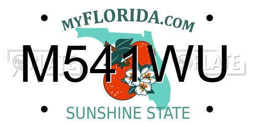 M541WU Florida License Plate