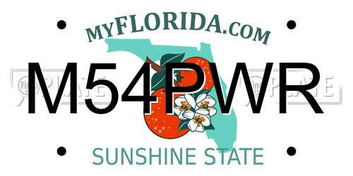 M54PWR Florida License Plate